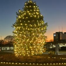 Christmas-Tree-at-Northside-Hospital-Gwinnett-GA 2