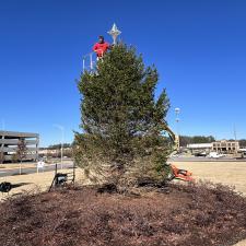 Christmas-Tree-at-Northside-Hospital-Gwinnett-GA 3