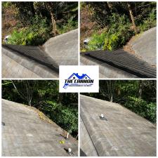 Gutter-cleaning-and-roof-blowoff-in-Athens-GA 0