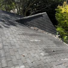 Gutter-cleaning-and-roof-blowoff-in-Athens-GA 1