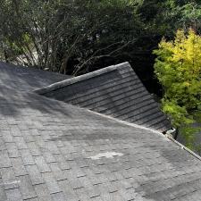 Gutter-cleaning-and-roof-blowoff-in-Athens-GA 4