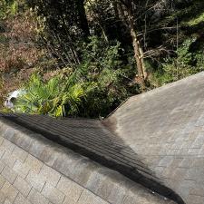 Gutter-cleaning-and-roof-blowoff-in-Athens-GA 6