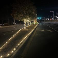 Lighting-up-Mulberry-of-Braselton-GA 1