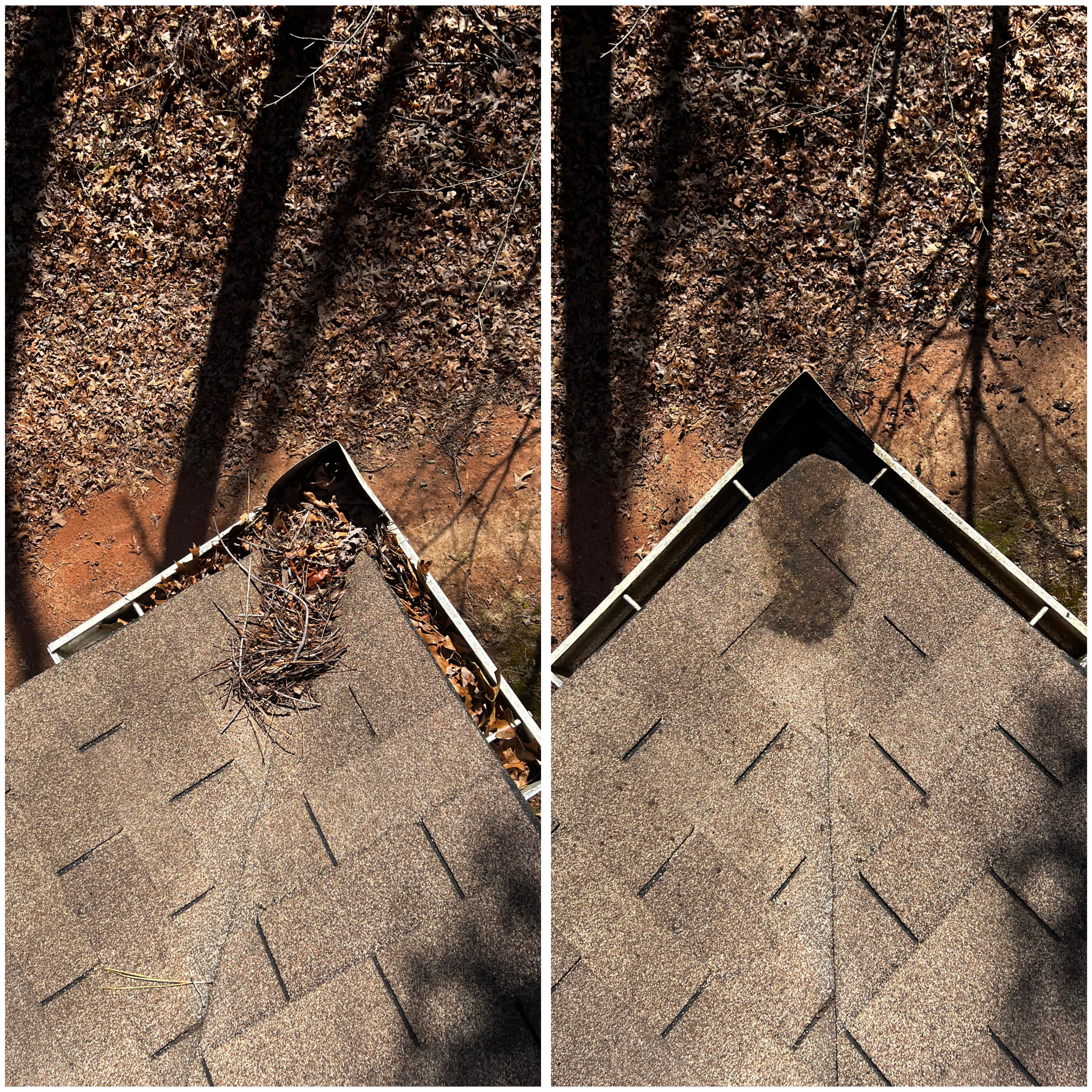 Much needed gutter clean in Bogart, GA