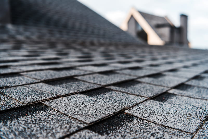 Roof Washing